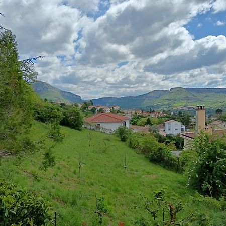 Gite Des Grands Causses Μιλό Εξωτερικό φωτογραφία